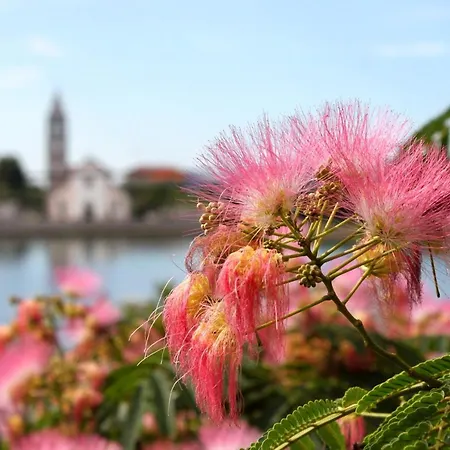 Triple 8223e 3* Pašman