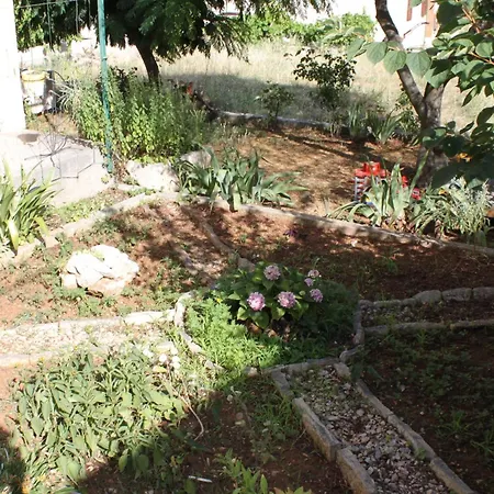 Triple 8223e Maison d'hôtes Pašman