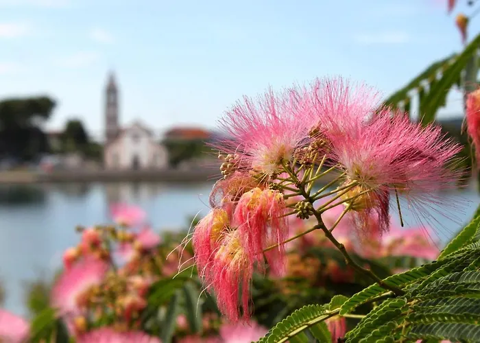 Triple 8223e 3* Pašman